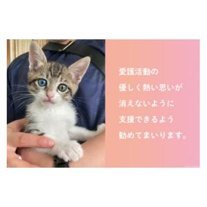 ふるさと納税 生き物 福岡県 筑紫野市 愛護支...の詳細画像5