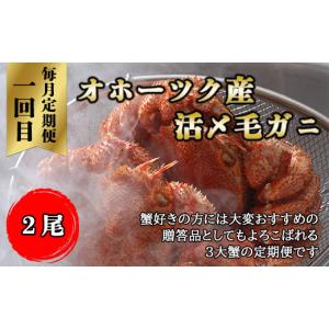 ふるさと納税 カニ 毛ガニ 北海道 網走市 毎...の詳細画像2