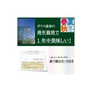 ふるさと納税 メロン メロン青肉 静岡県 磐田...の詳細画像3