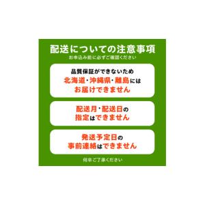 ふるさと納税 果物類 ぶどう 香川県 三豊市 ...の詳細画像2
