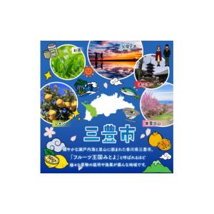 ふるさと納税 果物類 ぶどう 香川県 三豊市 ...の詳細画像3