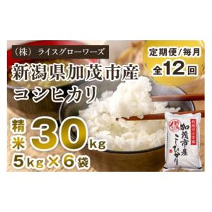 ふるさと納税 米 コシヒカリ 新潟県 加茂市 ...の詳細画像1