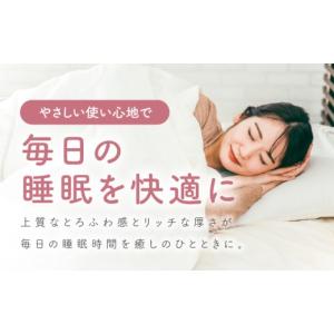 ふるさと納税 タオル・寝具 タオルケット 大阪...の詳細画像2