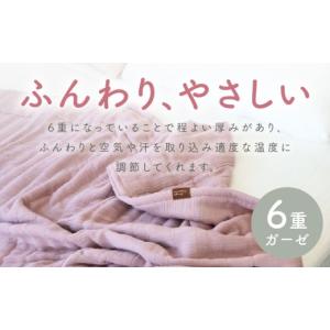 ふるさと納税 タオル・寝具 タオルケット 大阪...の詳細画像3