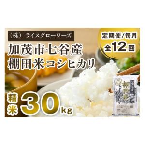 ふるさと納税 米 コシヒカリ 新潟県 加茂市 ...の詳細画像1
