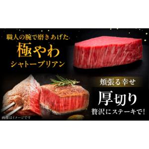 ふるさと納税 牛肉 ヒレ 福岡県 桂川町 全1...の詳細画像5