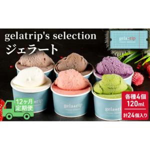 ふるさと納税 アイス・ヨーグルト ジェラート 北海道 上富良野町 12ヵ月定期便 gelatrip's selection ジェラート24個BOX