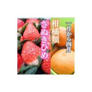 ふるさと納税 みかん・柑橘類 香川県 坂出市 ...の詳細画像2
