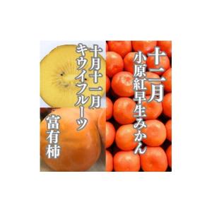 ふるさと納税 みかん・柑橘類 香川県 坂出市 ...の詳細画像5