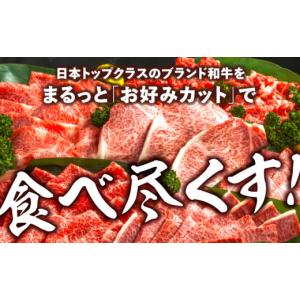 ふるさと納税 牛肉 セット 佐賀県 吉野ヶ里町...の詳細画像2