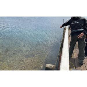 ふるさと納税 美容 北海道 弟子屈町 9153...の詳細画像2