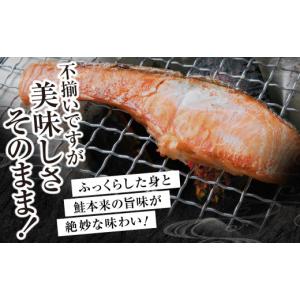 ふるさと納税 魚貝類 鮭 宮城県 塩竈市 訳あ...の詳細画像3