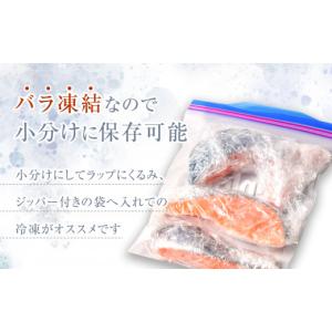 ふるさと納税 魚貝類 鮭 宮城県 塩竈市 訳あ...の詳細画像5