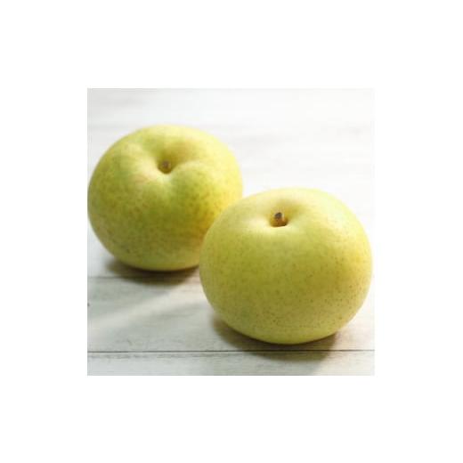 ふるさと納税 梨 栃木県 小山市 栃木県小山市産「梨」秋麗 5kg 1334081
