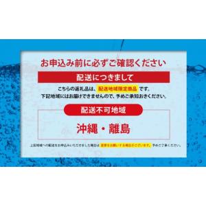 ふるさと納税 炭酸飲料 ソーダ水 静岡県 小山...の詳細画像4