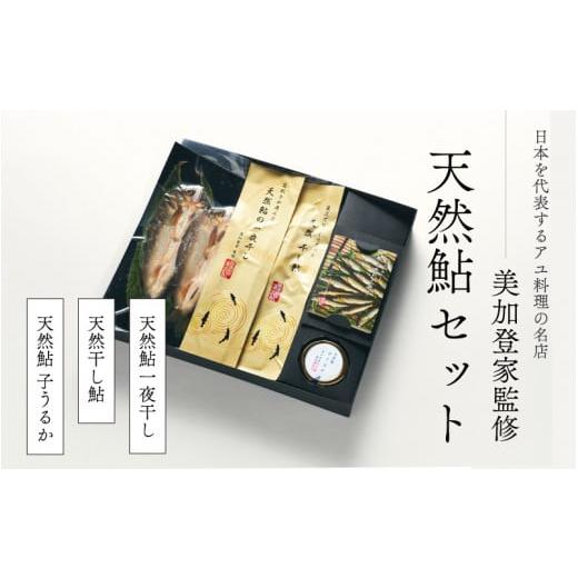 ふるさと納税 魚貝類 島根県 邑南町 天然鮎 一夜干し 干し鮎 うるか セット美加登家監修