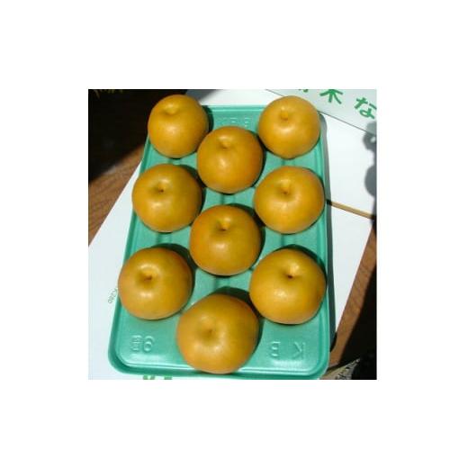 ふるさと納税 梨 栃木県 小山市 栃木県小山市産「梨」豊水 5kg 1515773