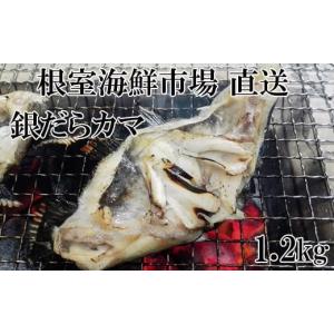 ふるさと納税 魚貝類 北海道 根室市 G-28008 12／10まで年内配送 根室海鮮市場 直送 銀だらカマ1.2kg｜ふるさとチョイス