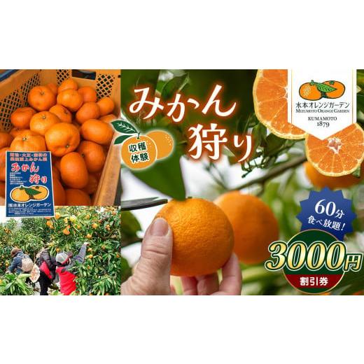 ふるさと納税 体験チケット 熊本県 玉名市 みかん狩り 収穫体験 （ みかん60分食べ放題 ） 30...