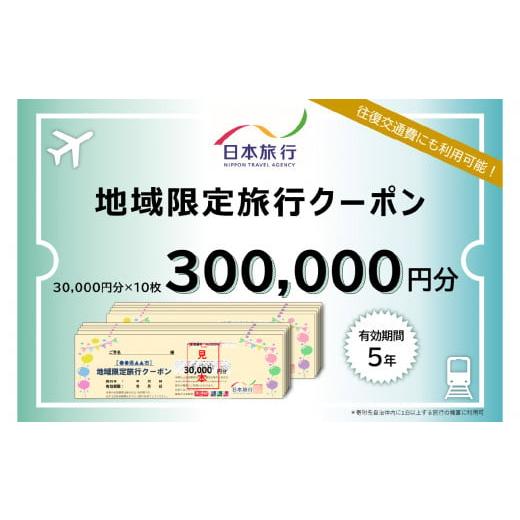 ふるさと納税 パッケージ旅行 大分県 大分市 大分県大分市 日本旅行 地域限定旅行クーポン 300,...
