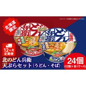 ふるさと納税 うどん インスタント 北海道 千歳市 定期便12カ月 日清　北のどん兵衛　天ぷらセット うどん・そば 各1箱・合計2箱 天ぷら てんぷら うどん そ…
