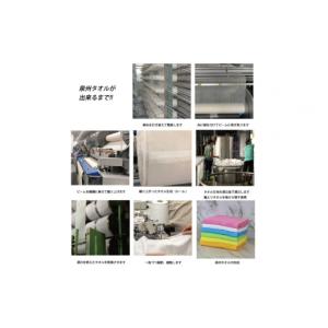 ふるさと納税 タオル・寝具 バスタオル 大阪府...の詳細画像3