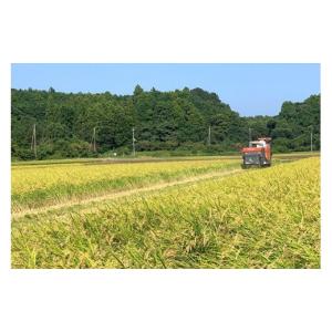 ふるさと納税 玄米 茨城県 石岡市 令和7年産...の詳細画像5