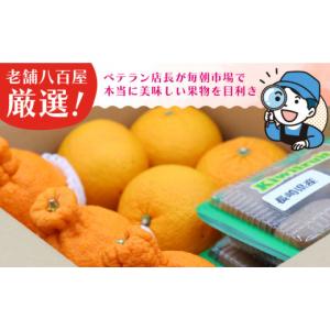 ふるさと納税 果物の詰合せ 長崎県 - フルー...の詳細画像2