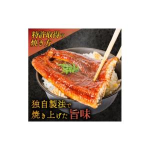 ふるさと納税 うなぎ 静岡県 沼津市 うなぎ ...の詳細画像2