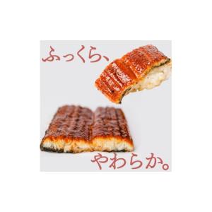 ふるさと納税 うなぎ 静岡県 沼津市 うなぎ ...の詳細画像3