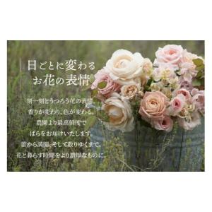 ふるさと納税 花・苗木 花束 滋賀県 守山市 ...の詳細画像2