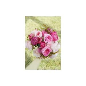 ふるさと納税 花・苗木 花束 滋賀県 守山市 ...の詳細画像5