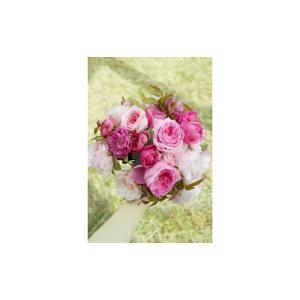 ふるさと納税 花・苗木 花束 滋賀県 守山市 ...の詳細画像5