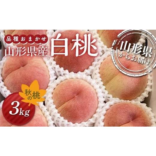 ふるさと納税 もも 山形県 - 《先行予約》2026年度発送 秋の桃 山形県産白桃／品種おまかせ 3...