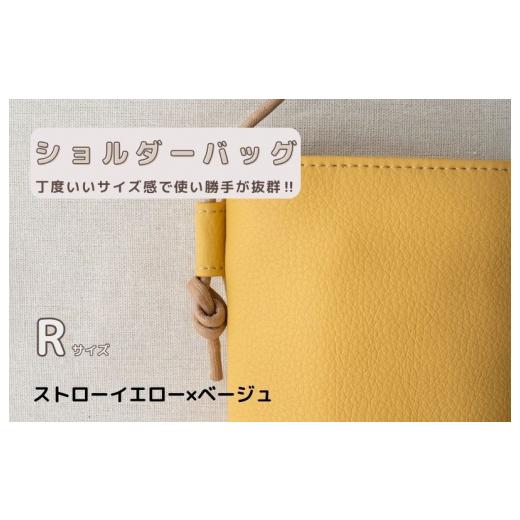 ふるさと納税 カバン ショルダーバッグ 大阪府 泉佐野市 tontoオリジナルショルダーバッグ（スト...
