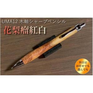 ふるさと納税 南木曽町 【野原工芸】特上黒柿のボールペン