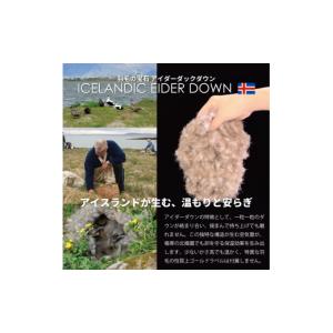 ふるさと納税 タオル・寝具 毛布 山梨県 韮崎...の詳細画像4