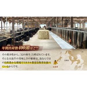 ふるさと納税 牛肉 サーロイン 長崎県 五島市...の詳細画像3