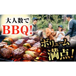ふるさと納税 牛肉 サーロイン 長崎県 五島市...の詳細画像5
