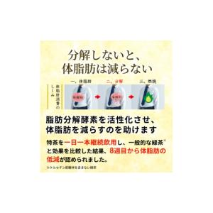 ふるさと納税 お茶類 緑茶(飲料) 神奈川県 ...の詳細画像4