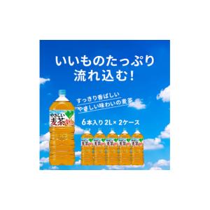 ふるさと納税 お茶類 神奈川県 綾瀬市 やさし...の詳細画像2