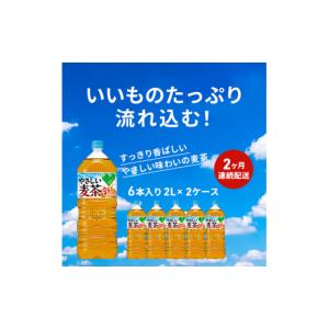 ふるさと納税 お茶類 神奈川県 綾瀬市 麦茶 ...の詳細画像2