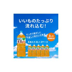 ふるさと納税 お茶類 神奈川県 綾瀬市 麦茶 ...の詳細画像2
