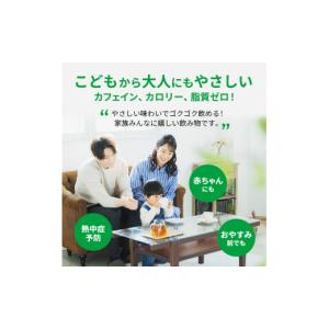 ふるさと納税 お茶類 神奈川県 綾瀬市 麦茶 ...の詳細画像4