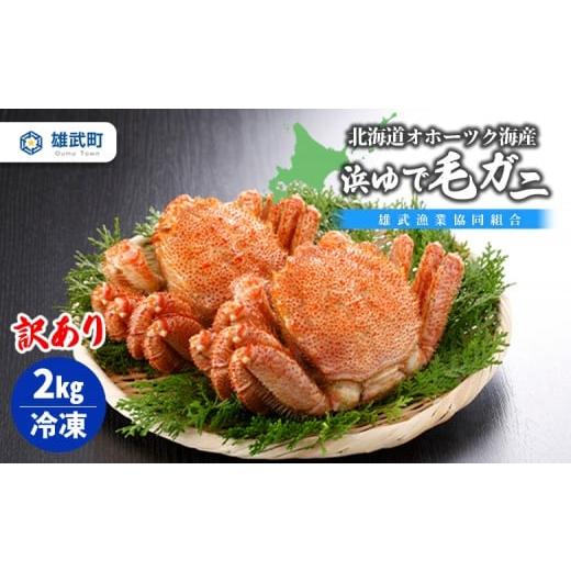 ふるさと納税 カニ 毛ガニ 北海道 雄武町 北海道オホーツク 海産 訳あり　浜ゆで毛ガニ　2kg（冷...