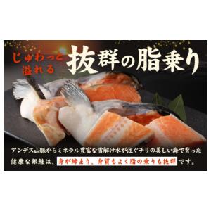 ふるさと納税 魚貝類 鮭 大阪府 泉佐野市 訳...の詳細画像3