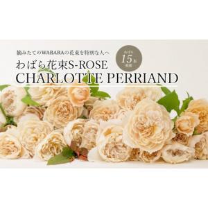 ふるさと納税 花・苗木 花束 滋賀県 守山市 わばら花束S-ROSE CHARLOTTE PERRIAND WABARA 摘みたて ブーケ 花束 Rose Universe AT-0027