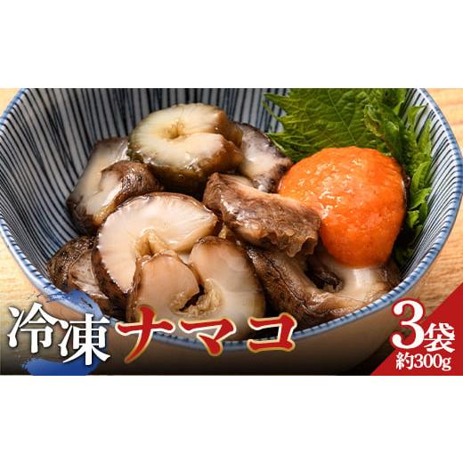 ふるさと納税 魚貝類 青森県 中泊町 小泊産 冷凍ナマコ真空パック 3袋（約300g） 徐福の里物産...