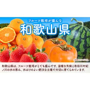 ふるさと納税 果物類 和歌山県 日高町 発送月...の詳細画像4