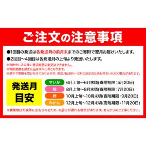 ふるさと納税 果物類 和歌山県 日高町 発送月...の詳細画像5